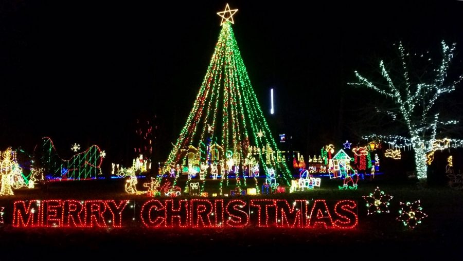 Christmas+Lights+Bring+Joy+to+All