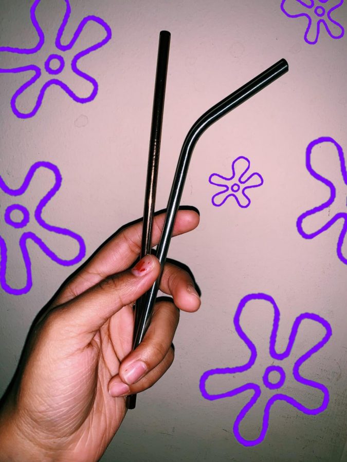 Inexpensive metal straws are available for purchase on Amazon.
