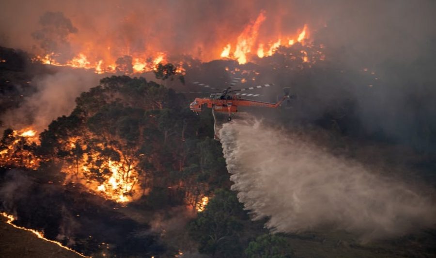 This image features an aerial view of firefighters working on the bushfires by helicopter.