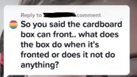 One tiktok user claims that they have an alter of a cardboard box. This is not satirical.