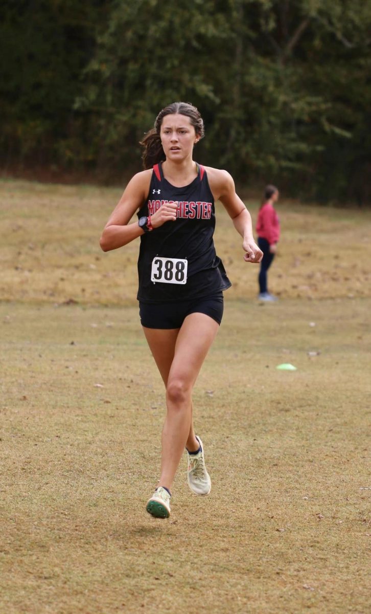 Kailee+Rossman+strives+for+the+finish+line+at+the+TSSAA+State+cross+county+meet.