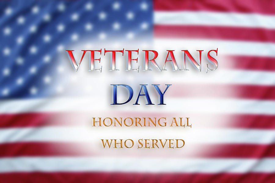 Veterans+Day+is+a+very+important+day+to+honor+those+who+served.