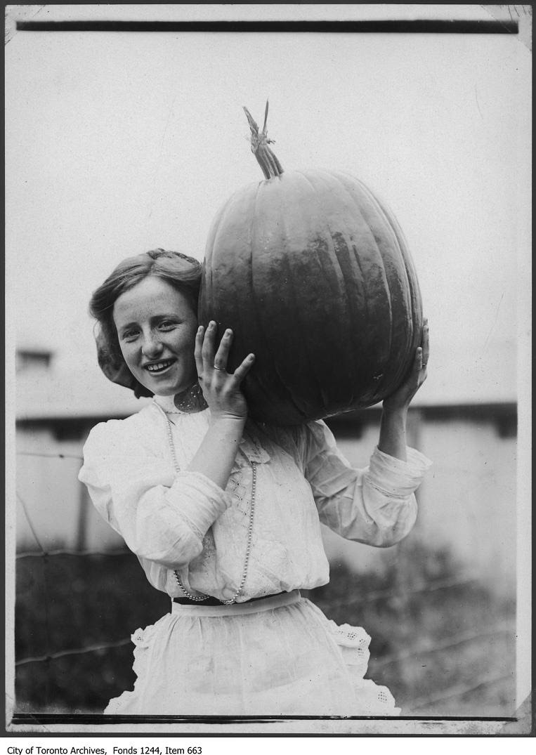 Huge pumpkin picked for autumn recipes in the early 1900s

Photo Credit: 
https://www.hhhistory.com/2019/10/autumn-pumpkins.html?m=1